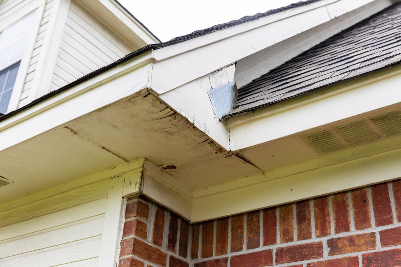 Metal Fascia Repair in Conroe, TX